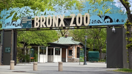 Zoos continue Valentine’s Day tradition of naming cockroaches, animals after exes and loved ones