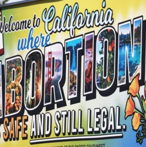 Planned Parenthood, reproductive healthcare could receive $90 million in new state funding