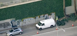 Fake ivy installed along U.S. 101 in downtown Los Angeles to deter graffiti