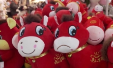 ‘Crying horse’ toy plushie goes viral in China