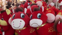 ‘Crying horse’ toy plushie goes viral in China