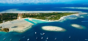 Fox News Lifestyle Newsletter: Feb. 3-10, 2026