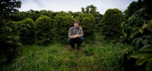 California coffee growing pioneers die of unknown causes, leaving behind 3 children