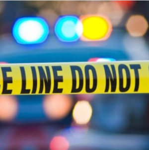 Good Samaritan saves 84-year-old woman from attempted rape in park bathroom