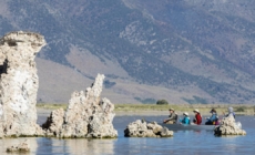 California water regulators reexamine why Mono Lake hasn’t rebounded