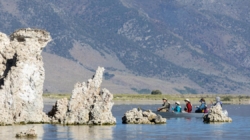 California water regulators reexamine why Mono Lake hasn’t rebounded