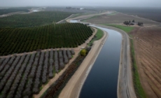 Trump administration spends $540 million on California water projects