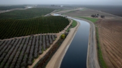 Trump administration spends $540 million on California water projects
