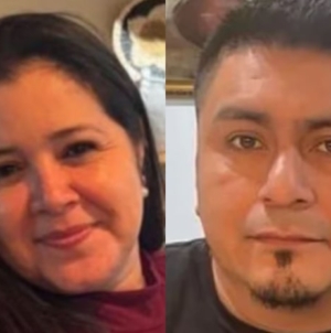 Mother of 3 beaten to death with bat in apparent murder-suicide