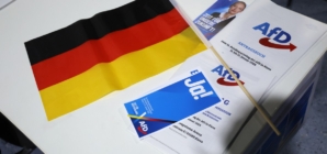 AfD scores major election success in Germany