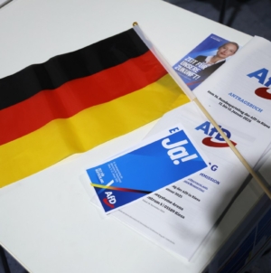 AfD scores major election success in Germany