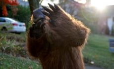 Bigfoot Society reports six sightings in northeast Ohio over four days