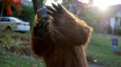 Bigfoot Society reports six sightings in northeast Ohio over four days