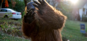 Bigfoot Society reports six sightings in northeast Ohio over four days