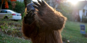 Bigfoot Society reports six sightings in northeast Ohio over four days