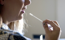 Genealogy sites may expose personal data to scammers