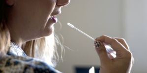 Genealogy sites may expose personal data to scammers