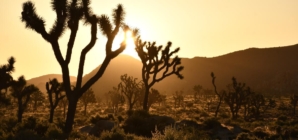 Daylight saving time returns — here’s when to change your clocks