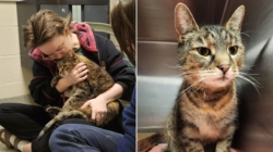 Cat found in stranger’s basement returned to family after 5 years