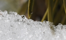 Extreme heat is rapidly melting California’s snowpack