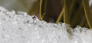 Extreme heat is rapidly melting California’s snowpack