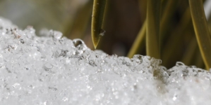 Extreme heat is rapidly melting California’s snowpack