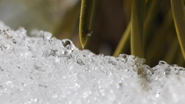 Extreme heat is rapidly melting California’s snowpack