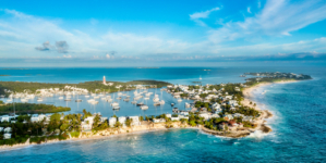 American woman missing after husband reports she fell overboard during Bahamas trip