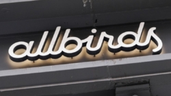 Can Allbirds take flight as an AI company?