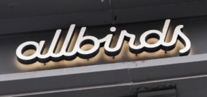 Can Allbirds take flight as an AI company?