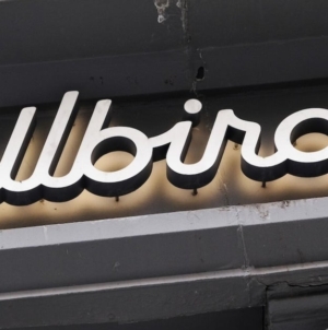 Can Allbirds take flight as an AI company?