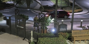 Officials search for man who abandoned puppy in SoCal ‘coyote country’