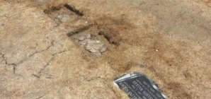 Two dogs stabbed, one killed while defending historic L.A.-area cemetery, heartbroken owner says
