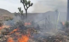 Four structures destroyed and one firefighter injured in SoCal fire