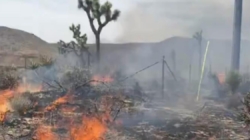 Four structures destroyed and one firefighter injured in SoCal fire