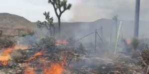 Four structures destroyed and one firefighter injured in SoCal fire