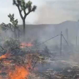 Four structures destroyed and one firefighter injured in SoCal fire