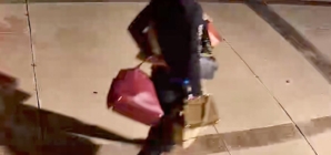 7 arrested in crackdown on residential burglary surge in the Valley