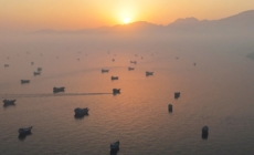 Oil prices fall on Iran peace deal, but may not go much lower