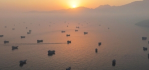 Oil prices fall on Iran peace deal, but may not go much lower