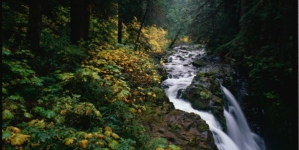 Human Remains in Sleeping Bag Identified After 26 Years—But Mystery Remains