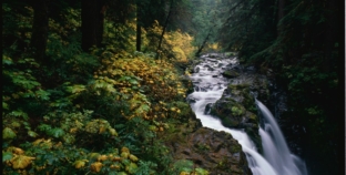 Human Remains in Sleeping Bag Identified After 26 Years—But Mystery Remains