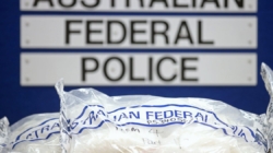British actress accused of trying to smuggle $208 million worth of meth into Australia in charcoal bags