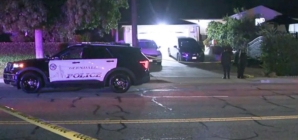Man armed with knife fatally shot by police in Glendale