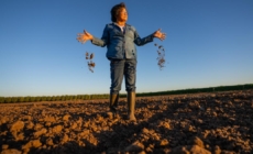 California’s tightening groundwater rules put small farmers at risk