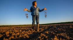 California’s tightening groundwater rules put small farmers at risk