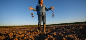 California’s tightening groundwater rules put small farmers at risk