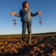 California’s tightening groundwater rules put small farmers at risk