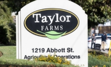 Taylor Farms recalls jalapeño products at Walmart and Target over salmonella risk