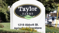 Taylor Farms CEO pressed by lawmaker over cyclospora outbreak and White House ties